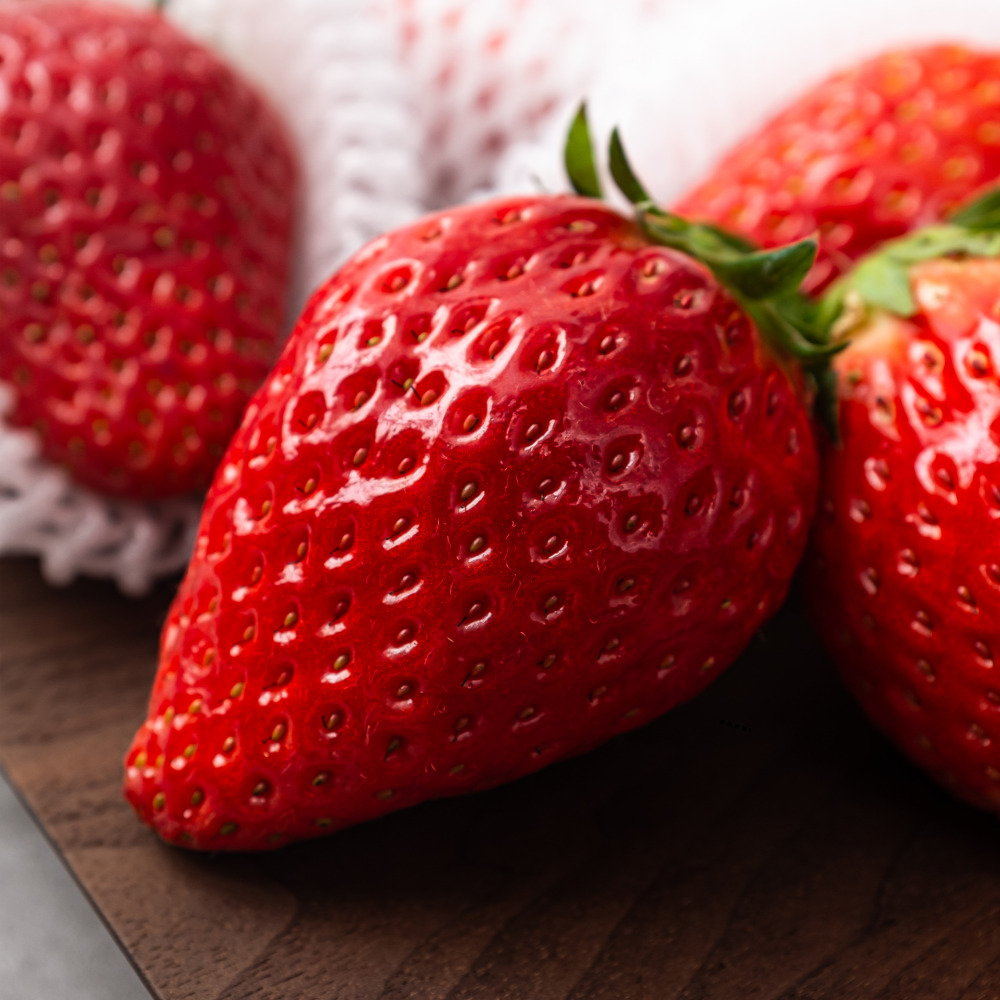 산지직송 제철딸기 설향 킹스베리 외 각종 생 딸기모음