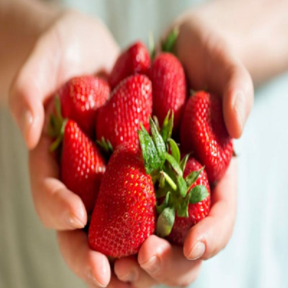 산지직송 제철딸기 설향 킹스베리 외 각종 생 딸기모음