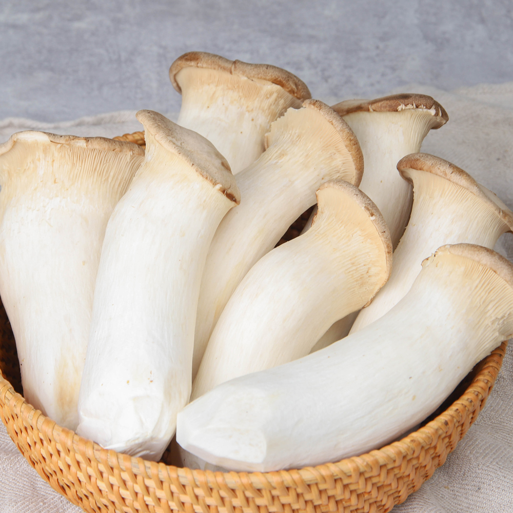 새송이버섯 2kg
