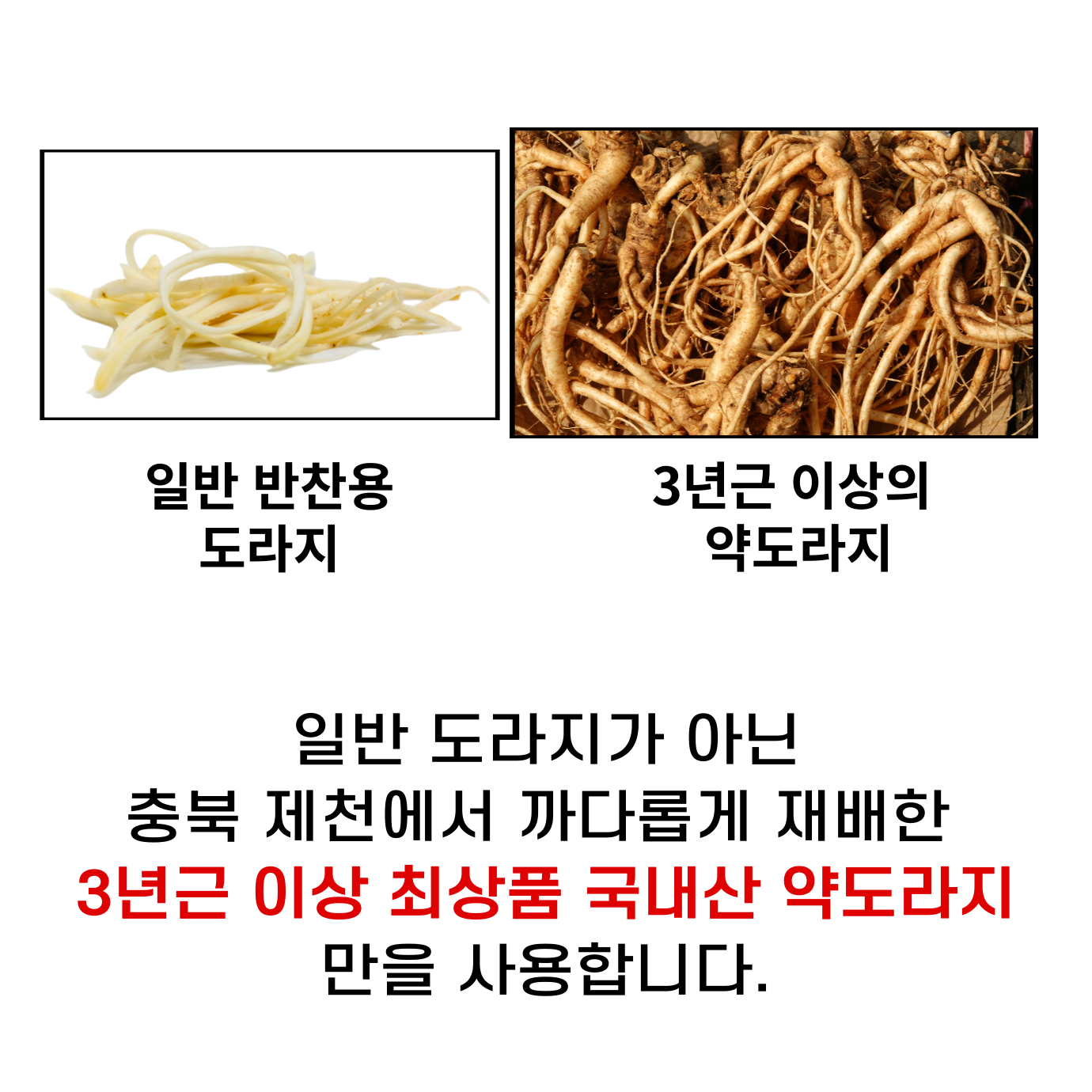 청원담 약도라지 진액 스틱 흑도라지청