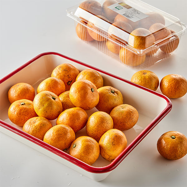 무농약 노지밀감 로얄과 대표이미지 섬네일