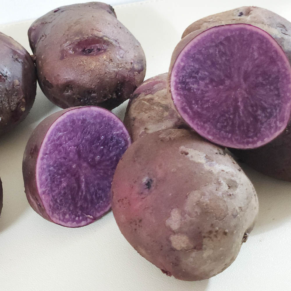 국내산 보라색 자영감자 중과 대과 3-10kg