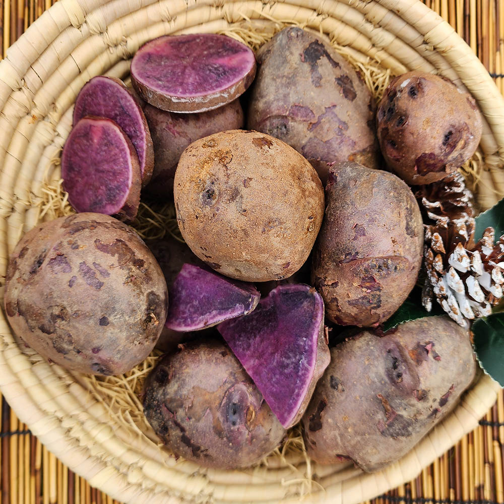 국내산 보라색 자영감자 중과 대과 3-10kg