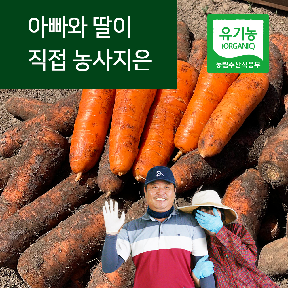 산지직송 제주당근 유기농 당근 모슬포 흙당근 중과 3kg