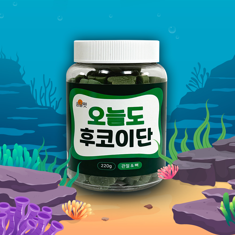 오늘도 후코이단 100개입 관절&뼈 대용량 강아지 영양 간식