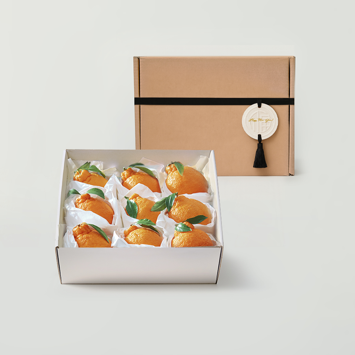 [프리미엄] 한라봉 선물세트 3kg/5kg