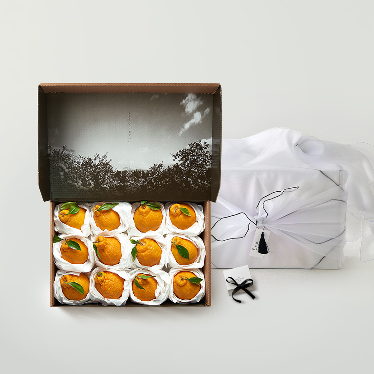 [프리미엄] 한라봉 선물세트 3kg/5kg