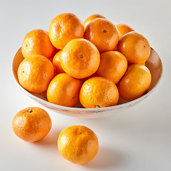 제주 점보감귤(2L/3kg) 대표이미지 섬네일