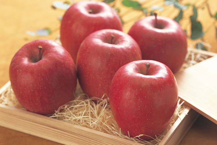 국내산 아삭한 부사사과 가정용 경북 햇 부사 생과