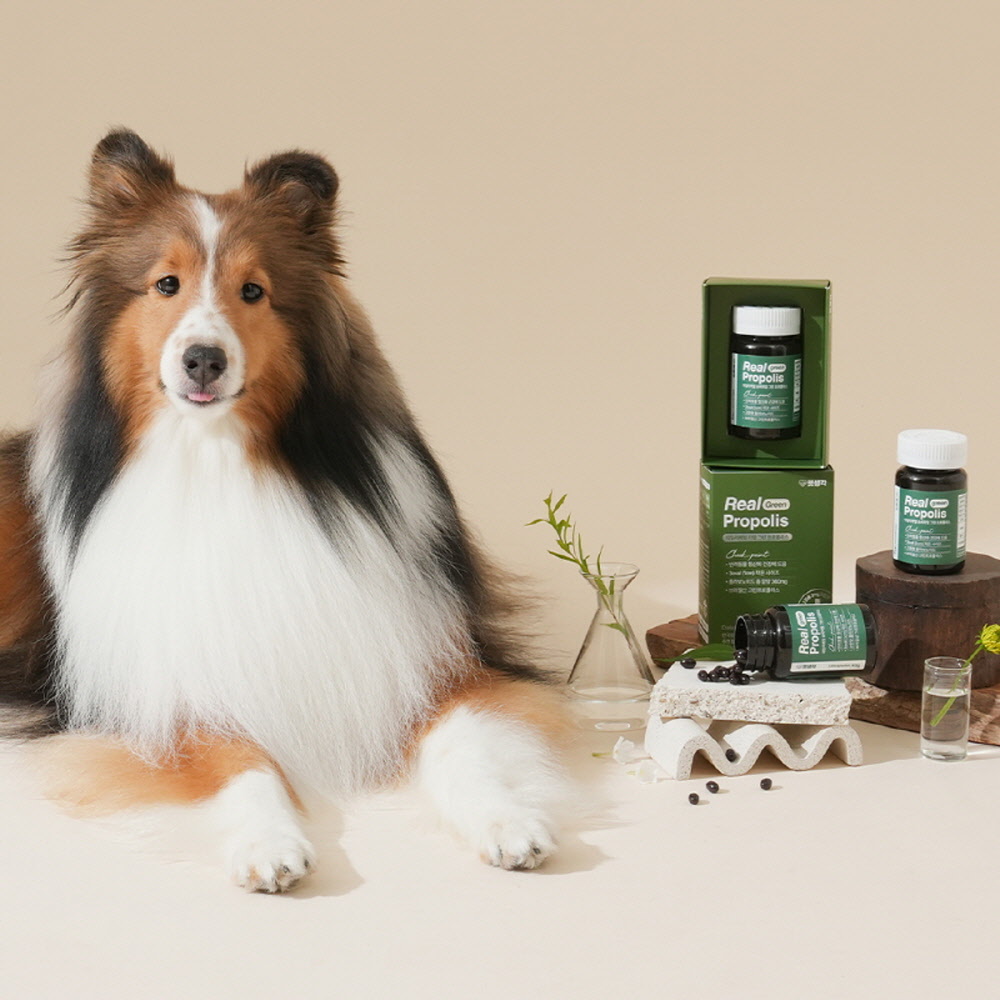 펫생각 데일리케얼 그린프로폴리스 강아지 항산화 영양제 180정