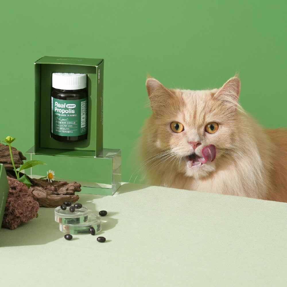 펫생각 데일리케얼 그린프로폴리스 강아지 항산화 영양제 180정