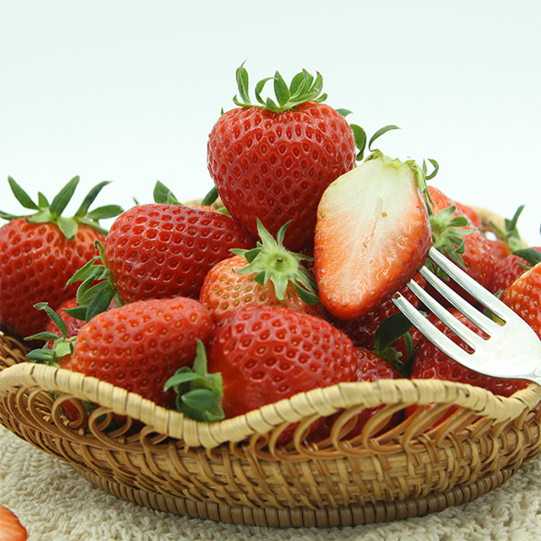 [당일수확] 대한민국 딸기독립 눈 속의 향기 새콤달콤 논산 딸기 설향 750g  한입 특