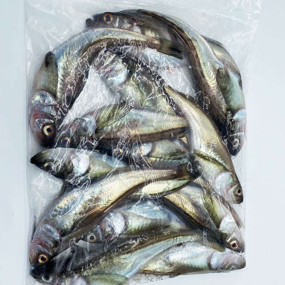 국내산 급냉 도루묵 1kg 10-20미 내외