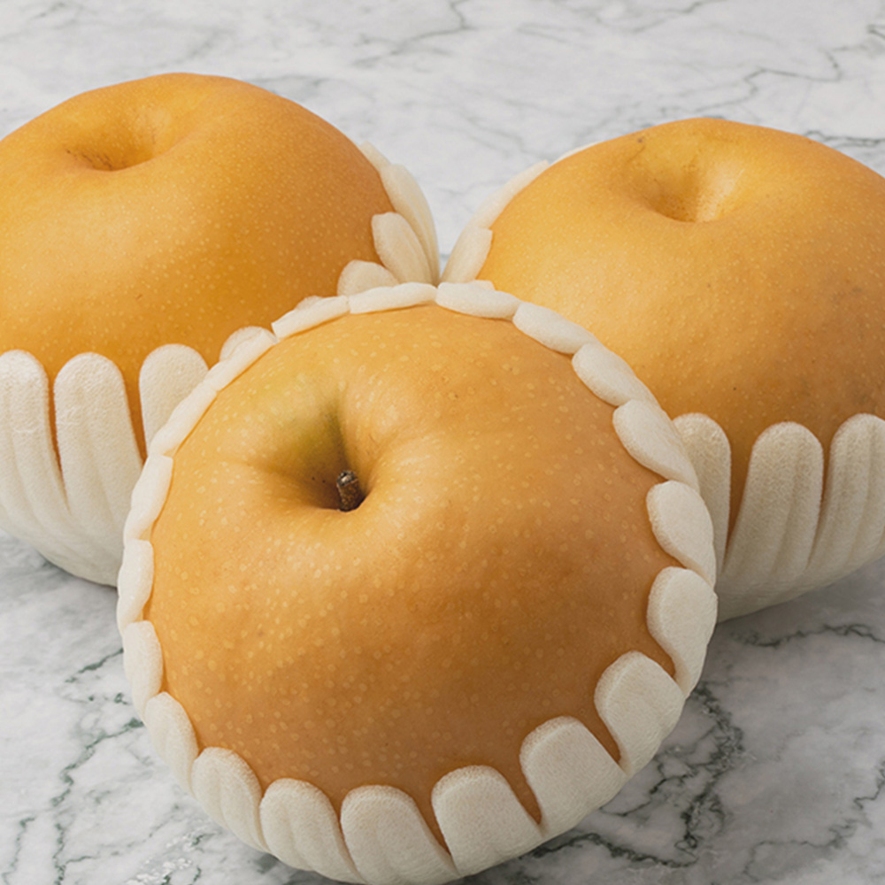 국내산 가정용 배 5kg 7-11과