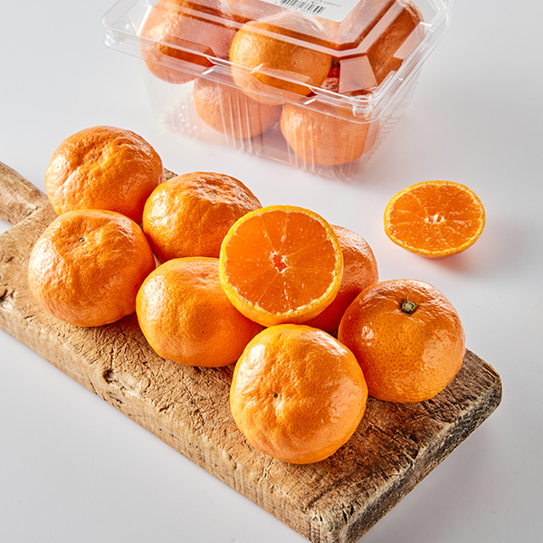 저탄소 고을향 감귤, 중대과 대표이미지 섬네일