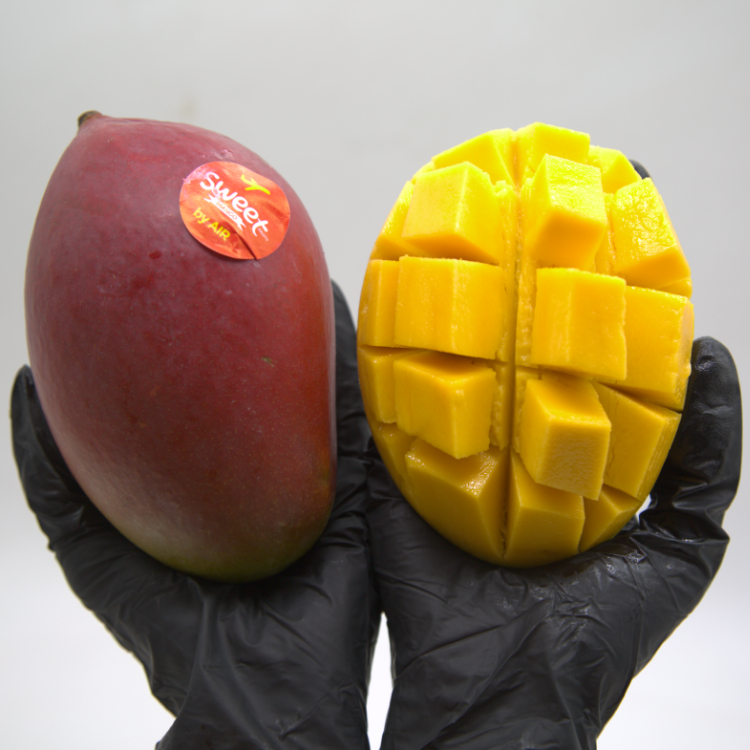 항공직수입 생망고 고당도 망고 생과 애플망고 정품