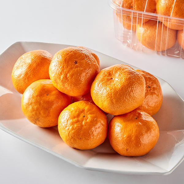 저탄소 고을향 감귤, 로얄과 대표이미지 섬네일