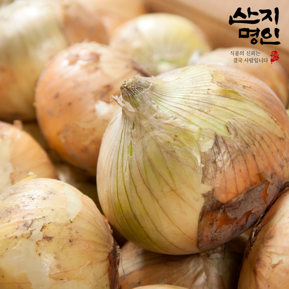 [산지명인] 무안 햇양파 중대혼합 3kg 초신선 산지직송 조생종