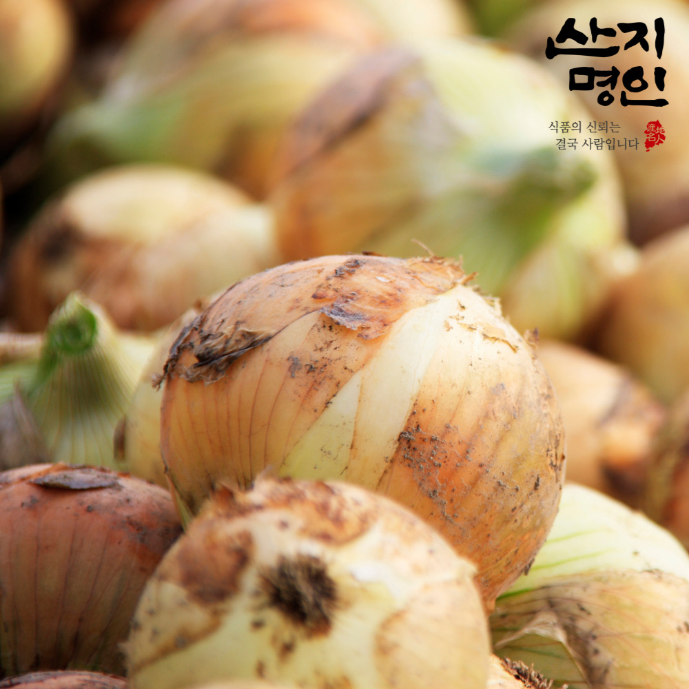 [산지명인] 무안 햇양파 중대혼합 3kg 초신선 산지직송 조생종