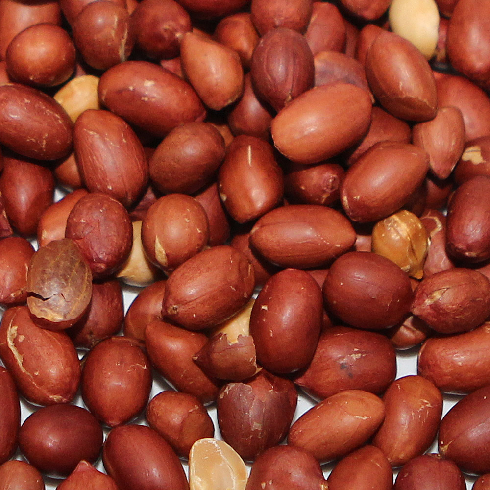 지구마을 제주 우도 볶은땅콩 200g~300g