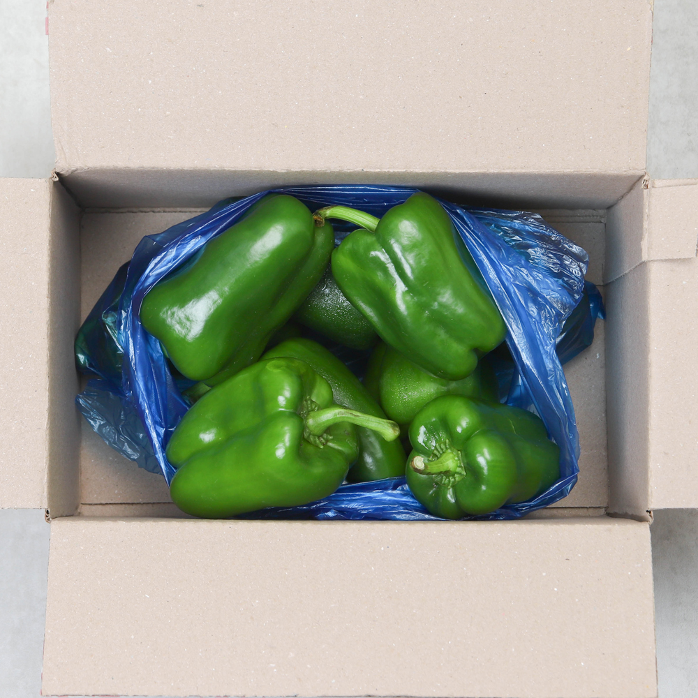 피망 청피망 1kg 5kg