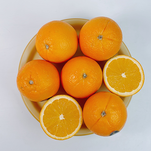 [오커최고] 따봉 수입 오렌지 중과 대과 사이즈