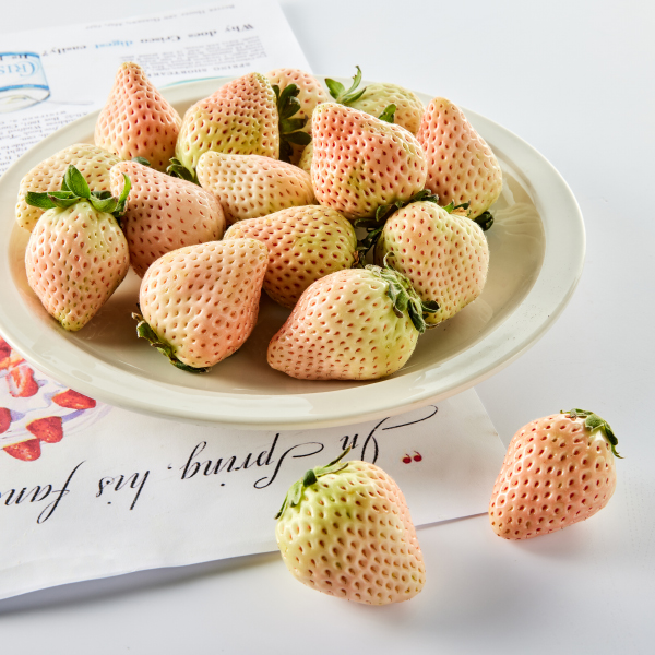 무농약 한단 흰딸기 대표이미지 섬네일