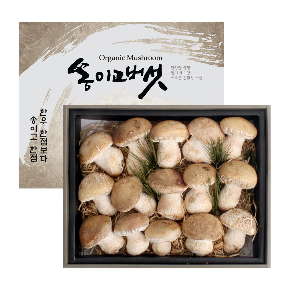 [산지직송] 국내산 자연의 선물 송이고 버섯 선물세트 대표이미지 섬네일