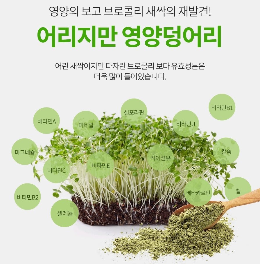 브로콜리새싹분말(80g)x6병