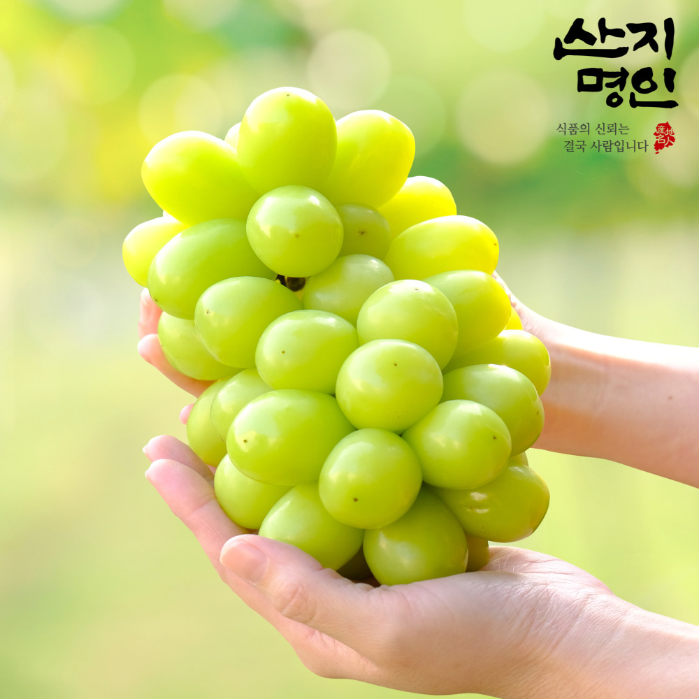[산지명인] 고당도 샤인머스켓 1kg 2-3송이 거봉 포도 가정용 특품 프리미엄
