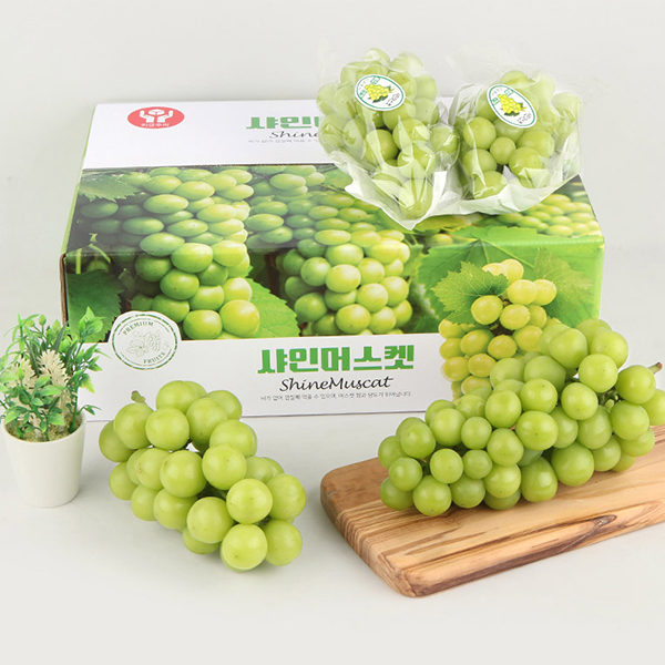 [명절브팜] 빛나는 샤인머스켓 고당도 2kg 선물세트 보자기 동봉