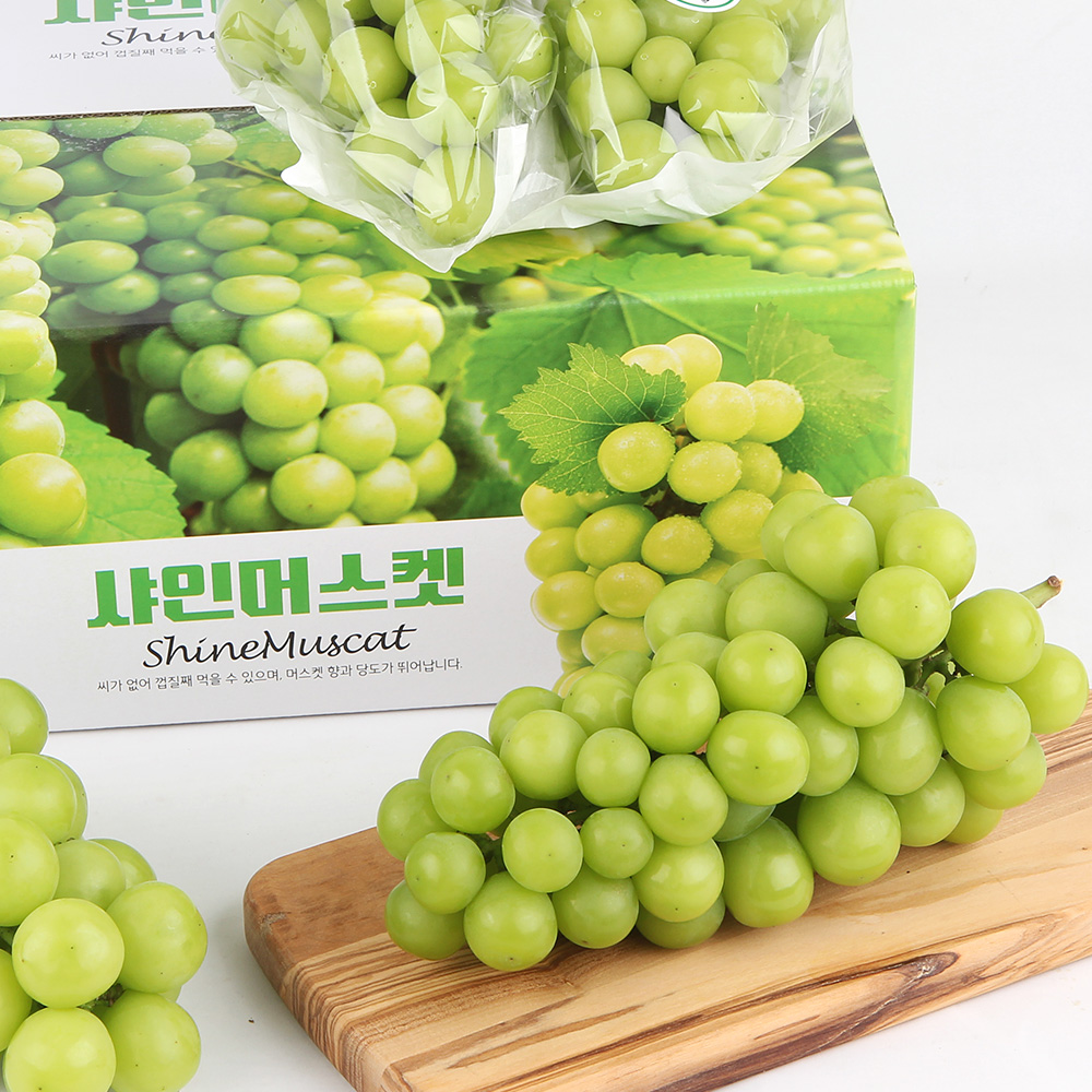 [명절브팜] 빛나는 샤인머스켓 고당도 2kg 선물세트 보자기 동봉