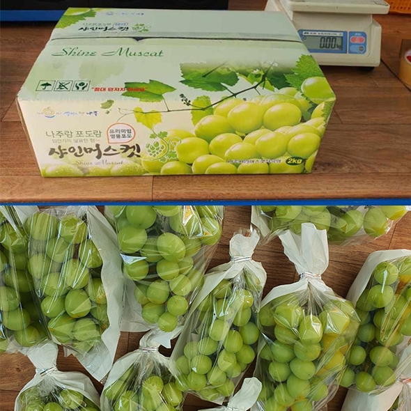 [명절브팜] 빛나는 샤인머스켓 고당도 2kg 선물세트 보자기 동봉