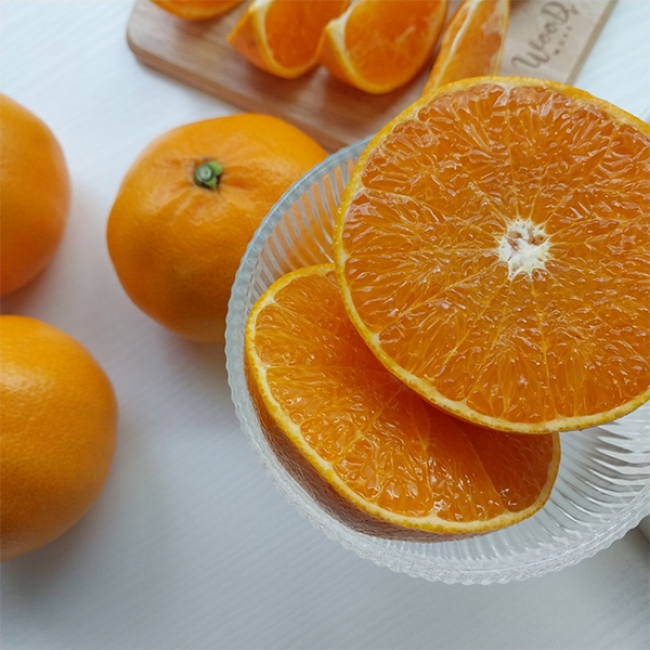 [산지직송] 마음담아  천리가는 제주 천혜향 프리미엄 선물세트 2kg 3kg 5kg 소과 중과 대과