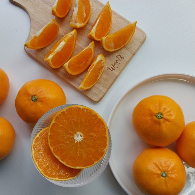 [산지직송] 마음담아  천리가는 제주 천혜향 프리미엄 선물세트 2kg 3kg 5kg 소과 중과 대과