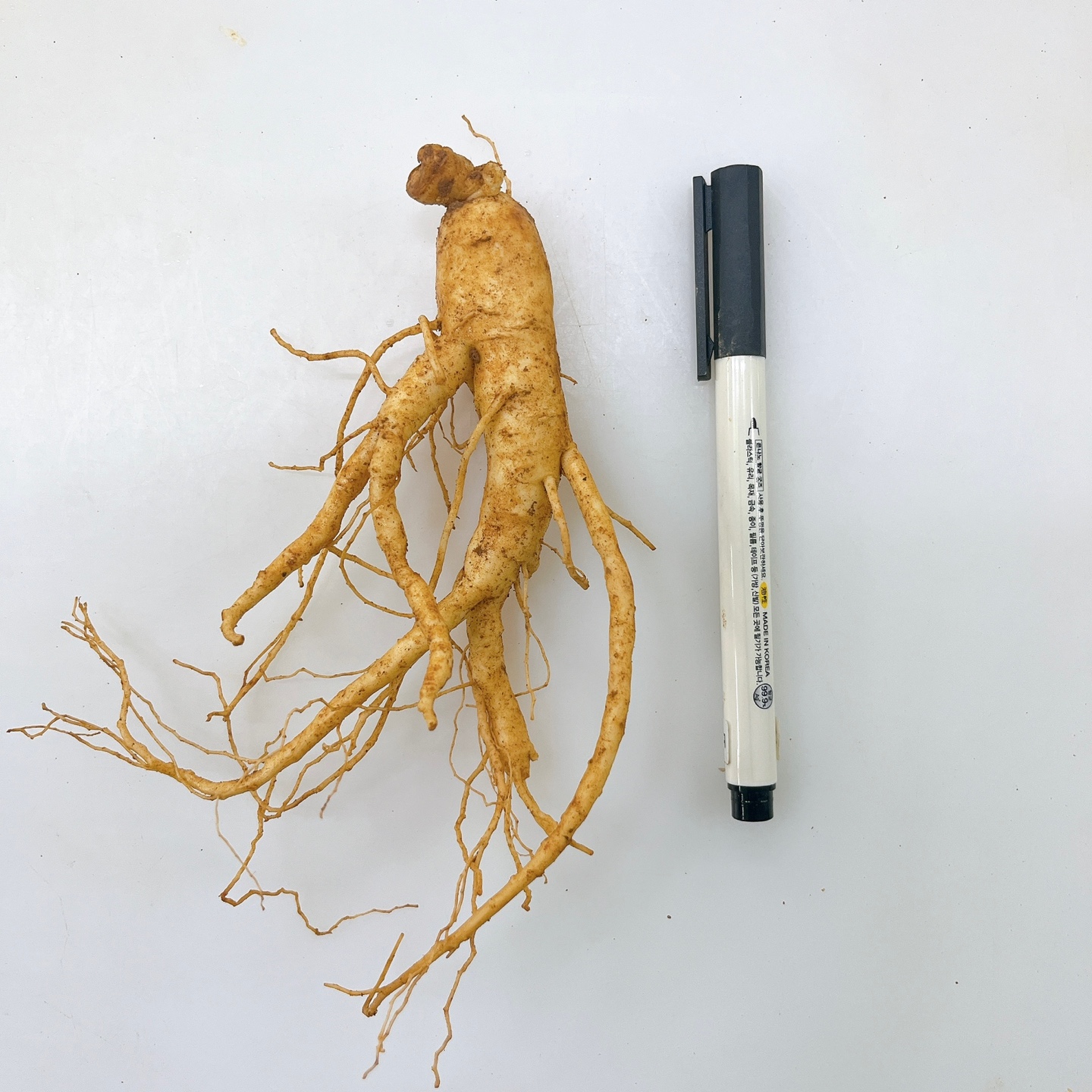 국내산 6년근 인삼 난발삼 200g(8-15뿌리)