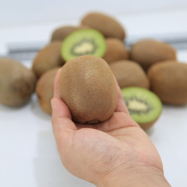 국내산 산지직송 참다래 키위 그린키위