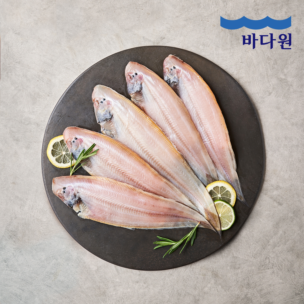 [바다원] HACCP인증 국내산 반건조 손질박대 200g(2미)X5팩 (총 10미)