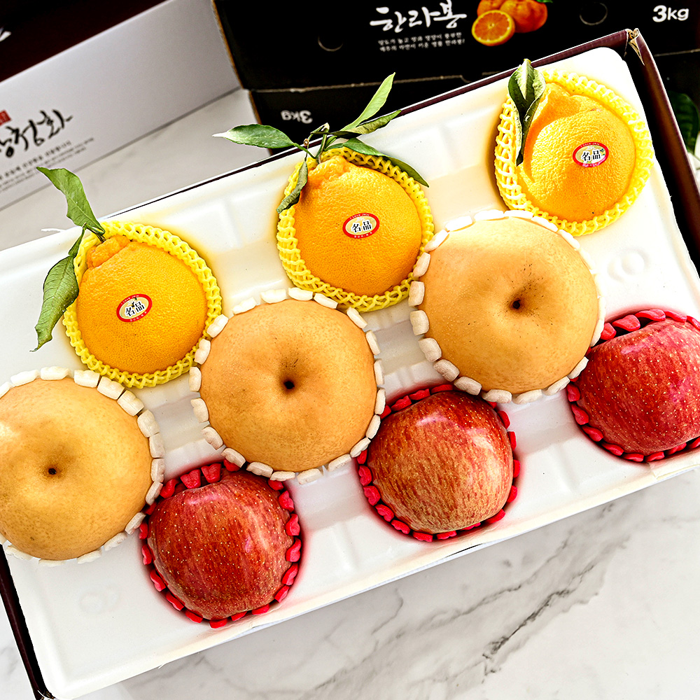 [오커브팜] 금상첨화 배사과한라봉 3+3+3과 선물세트 선물용