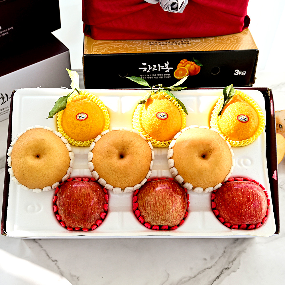 [오커브팜] 금상첨화 배사과한라봉 3+3+3과 선물세트 선물용