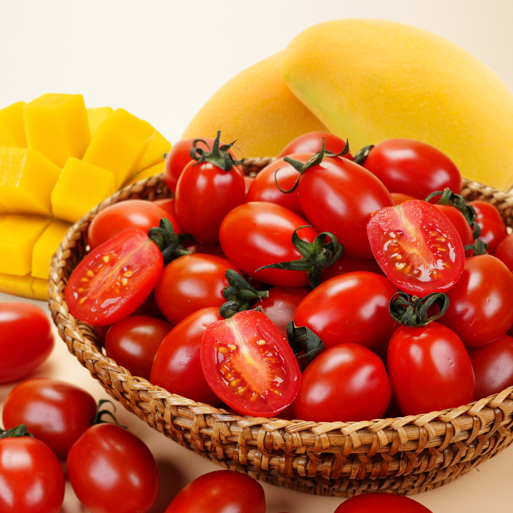 소소락 스테비아 대추방울토마토 500g 2팩 건강한 단맛 HACCP인증