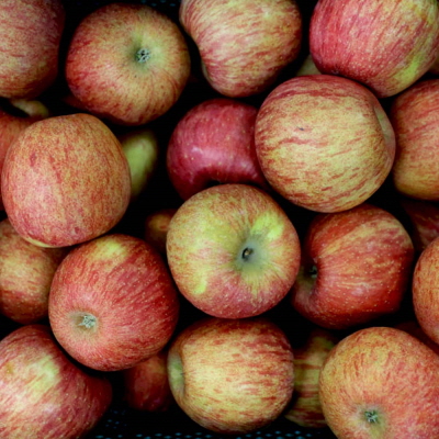 청송 얼음골 부사 사과 2kg/4kg 대표이미지 섬네일