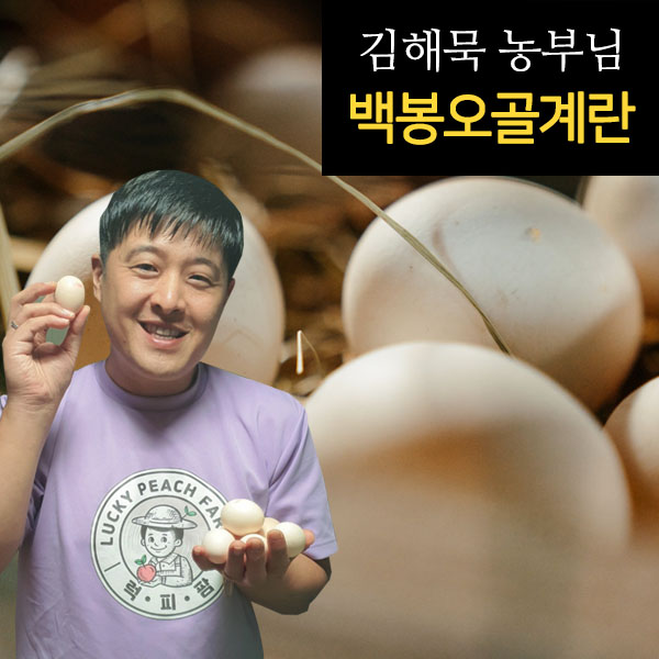 신선한 노른자 주문당일 수확한 유정란 오골계란 60입 30입 10입 대표이미지 섬네일