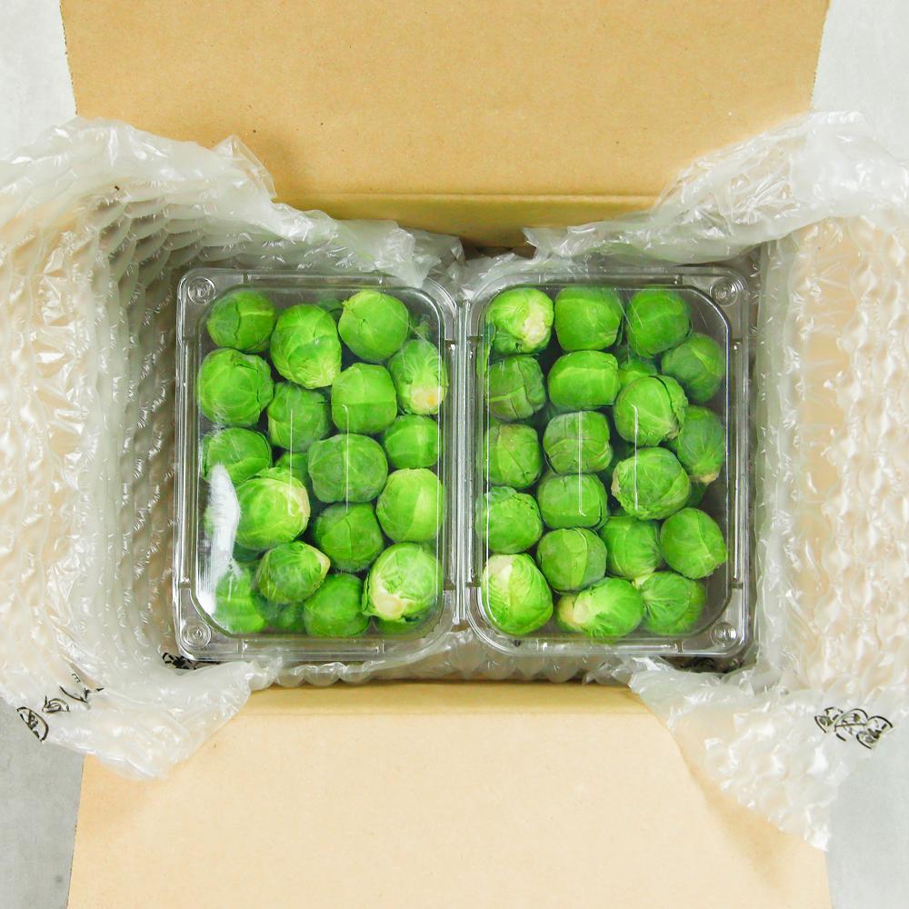 제주 방울양배추 미니양배추 500g 꼬마양배추