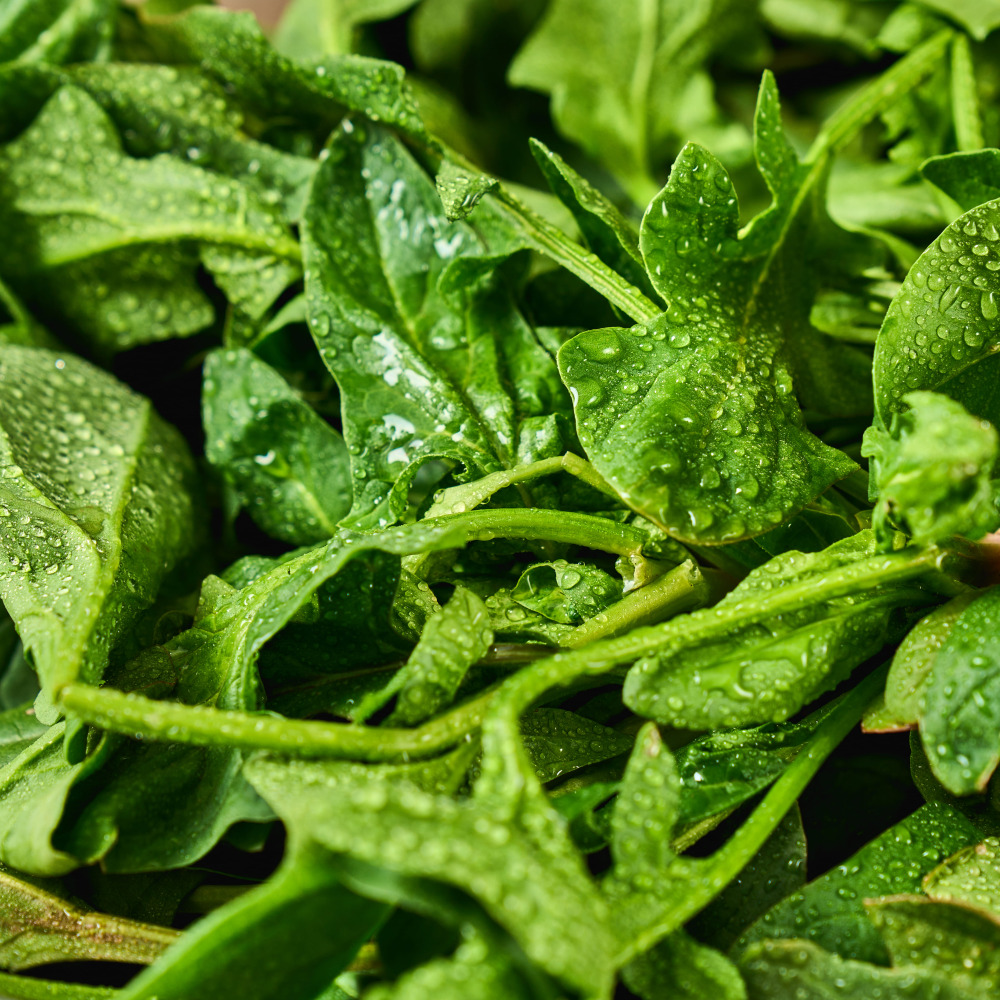 해풍맞고 자라 더 맛있는 남해 시금치 1kg 외