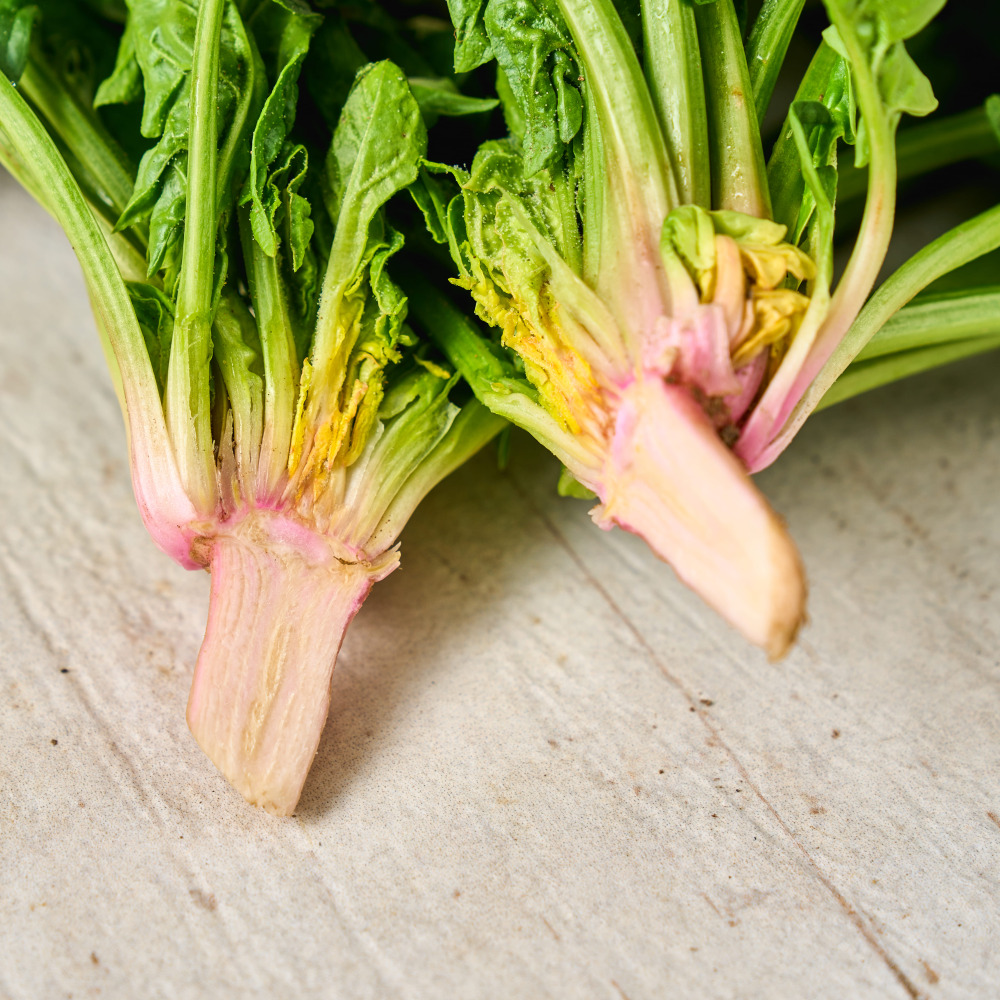 해풍맞고 자라 더 맛있는 남해 시금치 1kg 외