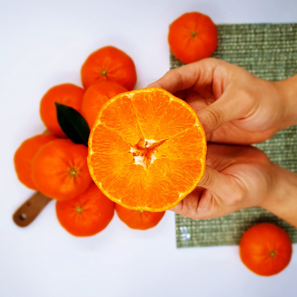 첫수확 제주 레드향 고당도 가정용 3kg 5kg 제철 과일