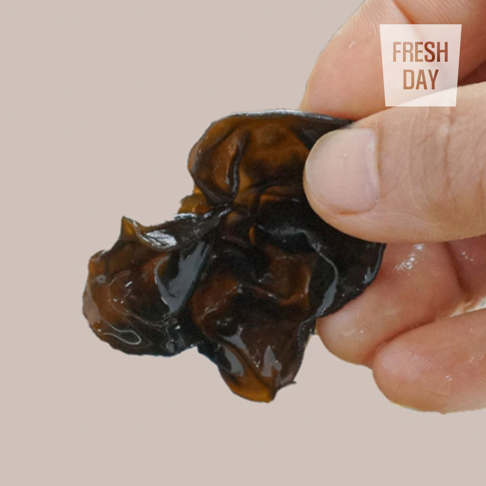 [프레시데이] 국내산 프리미엄 건버섯 선물세트 1호 (노루궁뎅이/목이/표고)