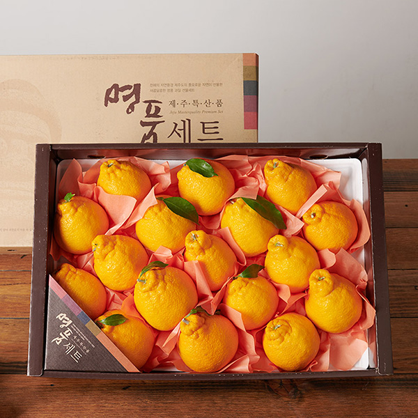 명품 제주 한라봉 4.5kg 16-18과 선물세트