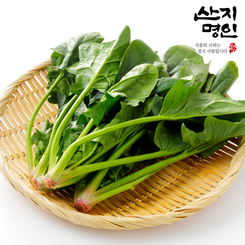 [산지명인] 남해 해풍 먹은 햇 시금치 1kg 보물초